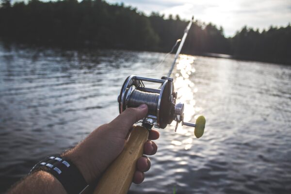 fishing tips for beginners
