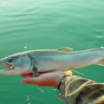 tips for freshwater fishing